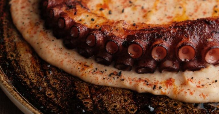 Start-ups - Octopus dish