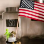 Extraterrestrial Life - US Flag and a Green Toy Alien Sticking from a Glass Jar with Marijuana