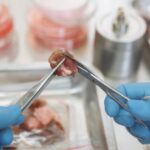 Lab-grown Meat - Close-up of a Lab Worker Doing Research and Holding a Piece of Meat
