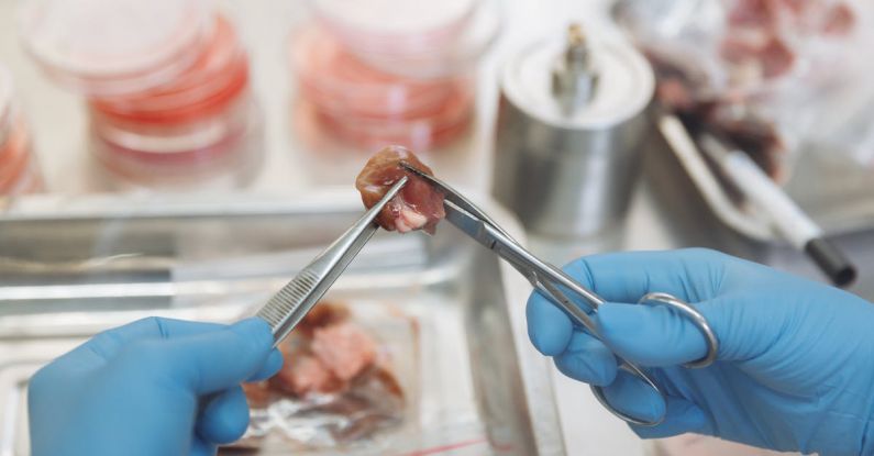 Lab-grown Meat - Close-up of a Lab Worker Doing Research and Holding a Piece of Meat